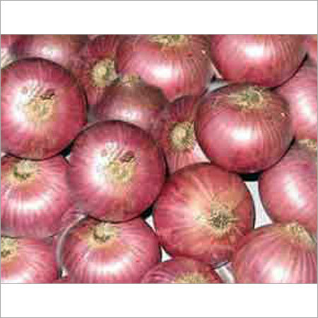 Onion