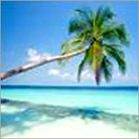 Goa Tour Packages