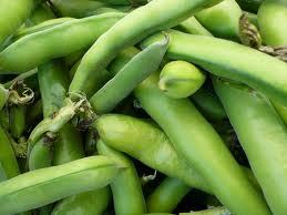 Beans