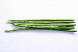 Drumstick