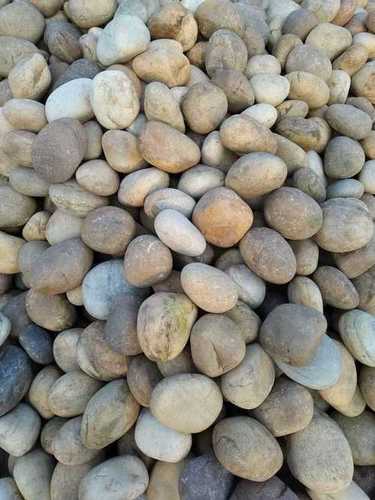 Sandstone Sea Coral Surface Landscaping Natural River Pebble Stone And Cobbles For Export Price Per Ton