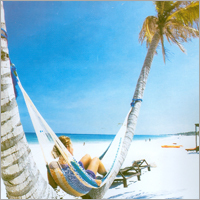 Hotel & Tourism Services