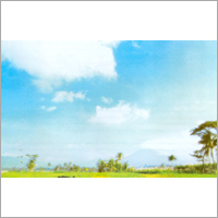 Hotel & Tourism Services