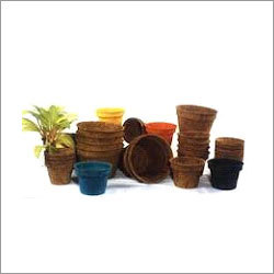 Coir Planters