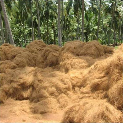 Coconut Coir Fibre