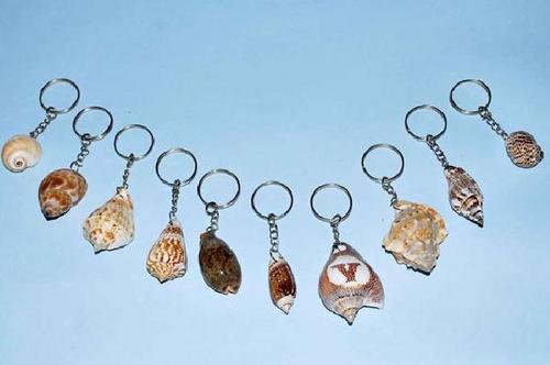 Seashell Key Chains