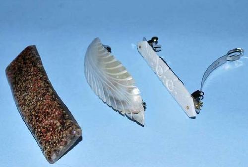 Seashell Hair Clip