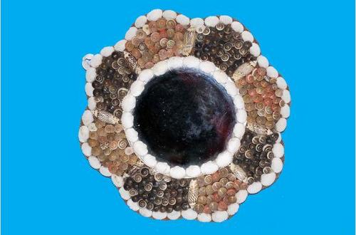 Seashell Mirror - Seashell & Glass, 12 Inch Diameter, Black | Elegant Design, Durable, Wall Mounted