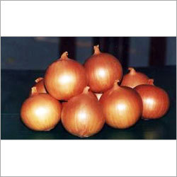 VMS Onion