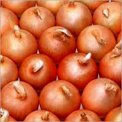 VMS Onion - Brown, Variable Size, Round Shape | Fresh, Flavorful, Nutritious, Long Shelf Life, Bulk Packaging