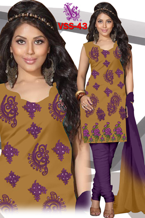 Ladies Fancy Salwar Kameez