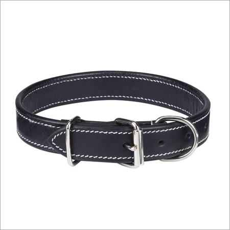 Black Dog Leashes
