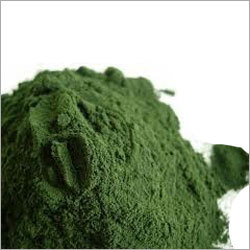 Spirulina Powder