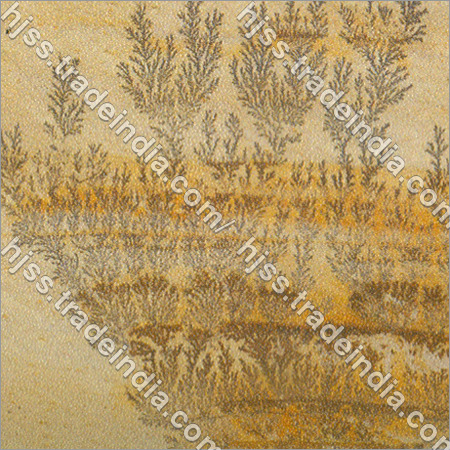 Fossil Printed Granite