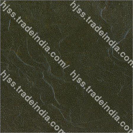 Ocean Green Quartizites