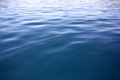 Water Quality Consultant