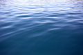 Water Quality Consultant