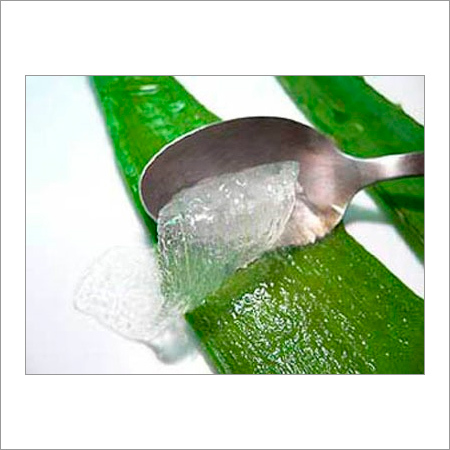 Aloe Vera Products - Aloe Vera Gel, Cold Pressed, PH 5.5-6.5 | No Side Effect, Cooling Effect, Skin Rejuvenation