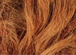 Coir Rope