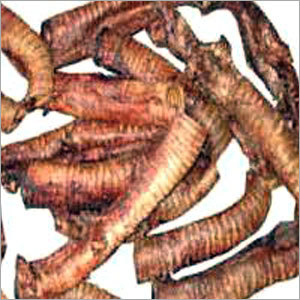 Dried Meat
