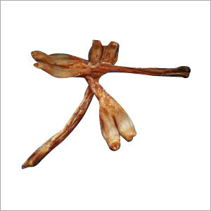 Tendon Four Meeng Cover