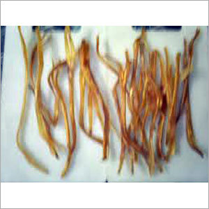 Tendon One Meeng Small