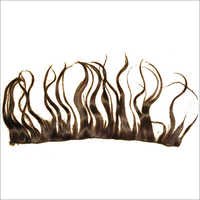 Virgin Hand Tied Weft Hair