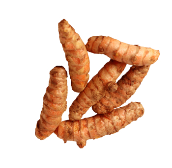 Raw Turmeric
