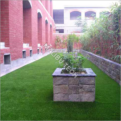 Resort Turf Grass