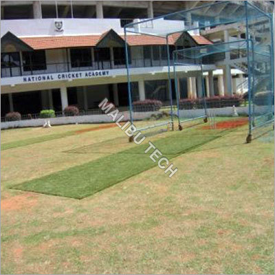 Cricket Surface