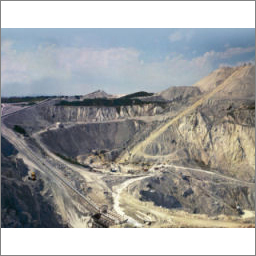 Bone China Clay