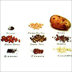Seeds