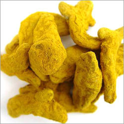 Fresh Turmeric Powder