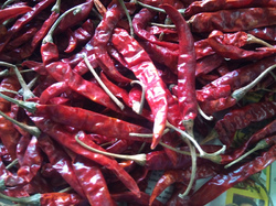 Endo 5 Red Chilli - Bright Red, >6cm, 12% Moisture | Spicy, Mature Pods, Large Seeds, With Stem, 5% Broken Chilli, 2% Foreign Matter