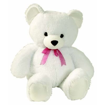 Teddy