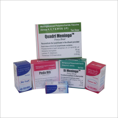 Carton Printing Service