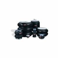 Air Springs And Air Shock Absorbers