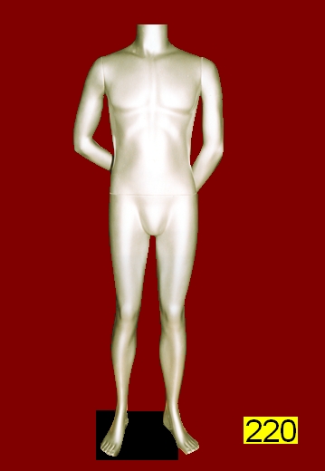 Headless Male Mannequin