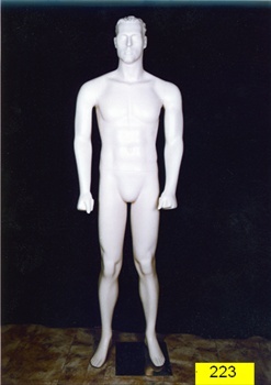 Male Mannequin