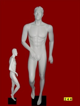 Male Mannequin