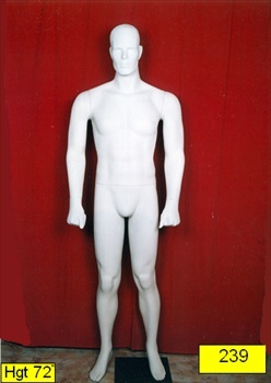 Male Mannequin