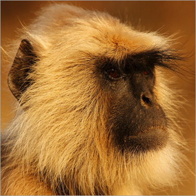 Overland Photography Tours