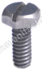 Brass Hex Slotted Screw