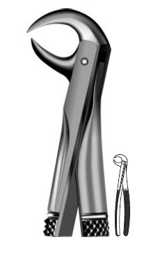 For Lower Molar