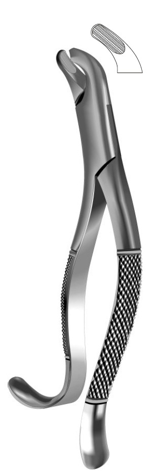 HARRIS FOR UPPER MOLARS