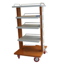 Monitor Trolley