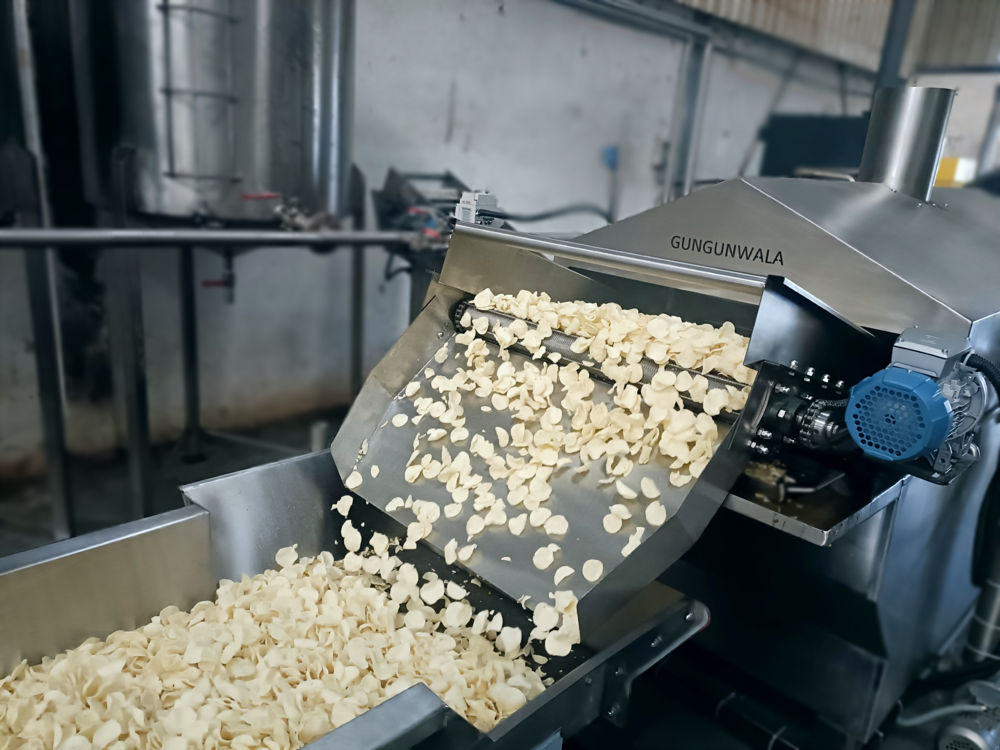 Automatic Potato Chips Fryer