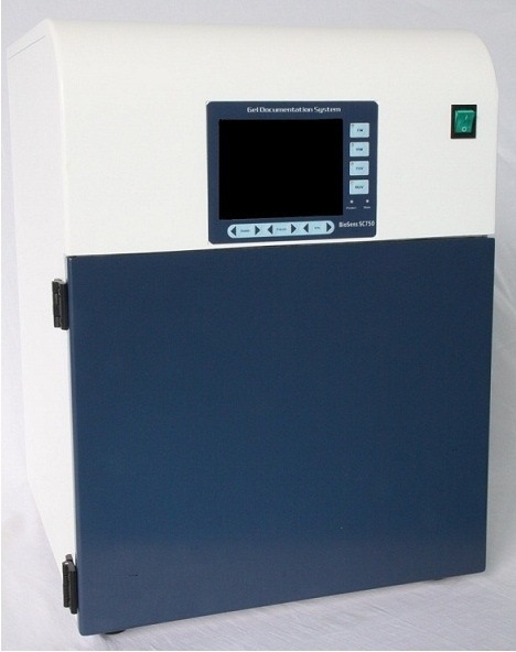 Electrophoresis Electrophoresis