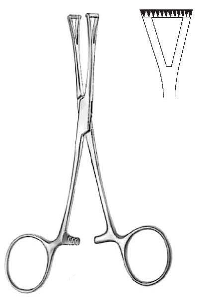 Collin Tissue Seizing Forcep