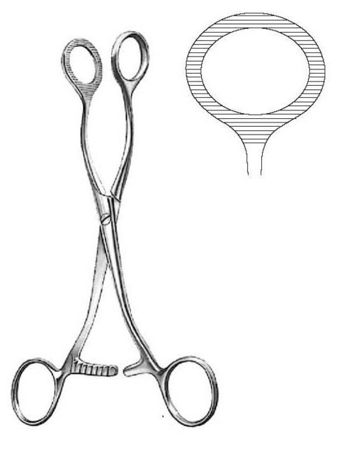 Duval Collin Tissue & Organ Holding Forcep - Stainless Steel, 16 cm | Double Ended Jaw, Polished Finish, Autoclavable